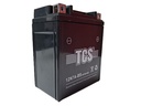 BATERIA 12N7A-BS TCS 113*69*132